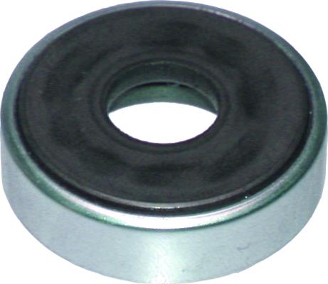 BIRT5208/C